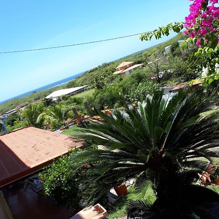 Cap Chevalier Appartement Vacances Goyave מראה חיצוני תמונה
